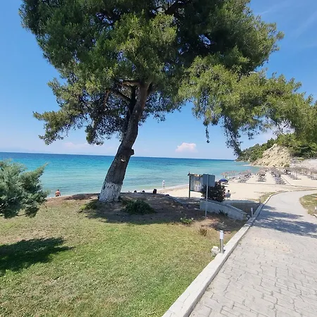 Beachfront 100m From Sea For Up To 10 Guests *